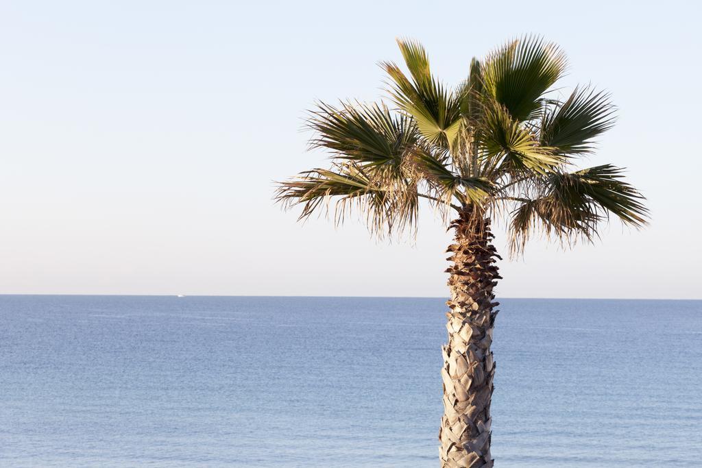 Sud Beach Hotel Fronte Mare By Ria Hotels Marina Di Pulsano Pokój zdjęcie